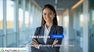 prediccion total de asientos contables con IA